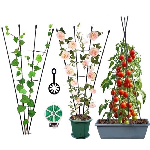 Garden trellis for climbing - trellis,