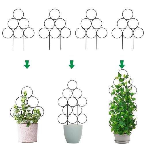 Climbing plant trellis - climbing,