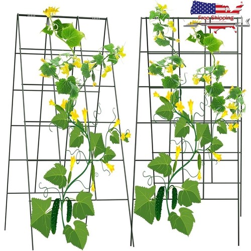 Frame trellis vines - a-frame,