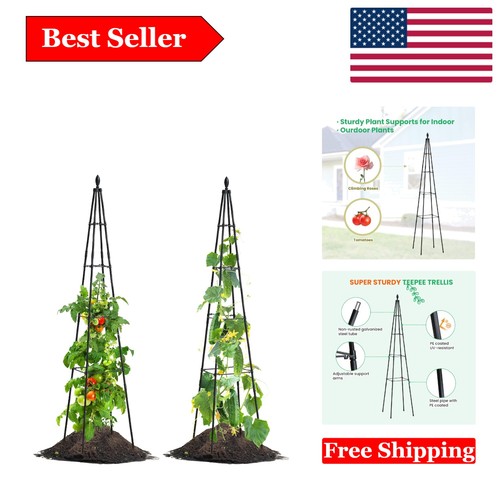 Pack inch garden - garden, obelisk