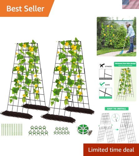 Frame pack h cucumber - a-frame,