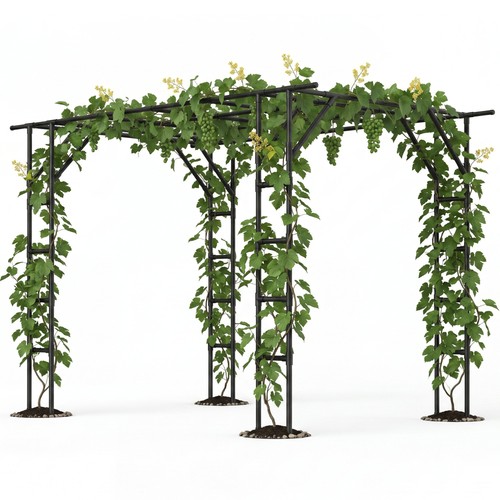 Extra large garden - large,