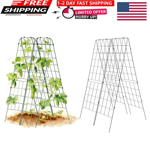 Durable and adjustable frame - durable,