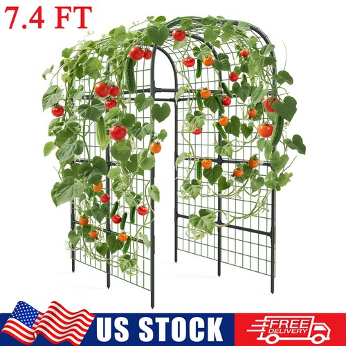 Steel garden arch - garden,