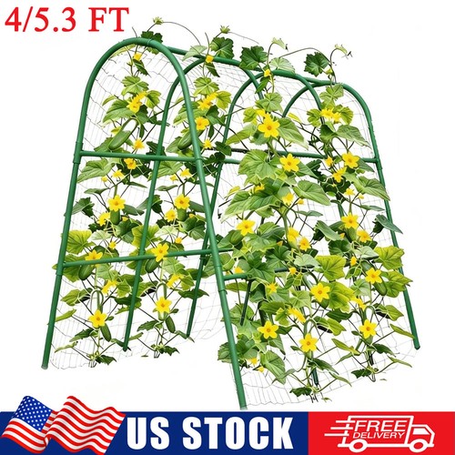 Steel garden arch - ft,