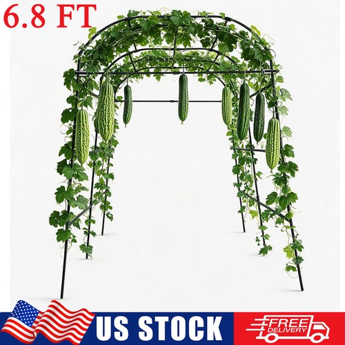 Steel garden arch - ft,