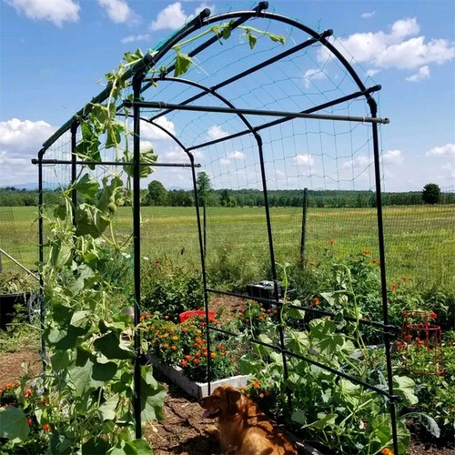 Strong metal plant support - metal,