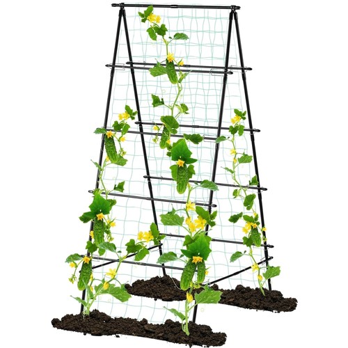 Sturdy frame trellis for - frame,
