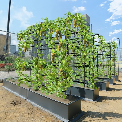 Large size steel garden - garden, arch