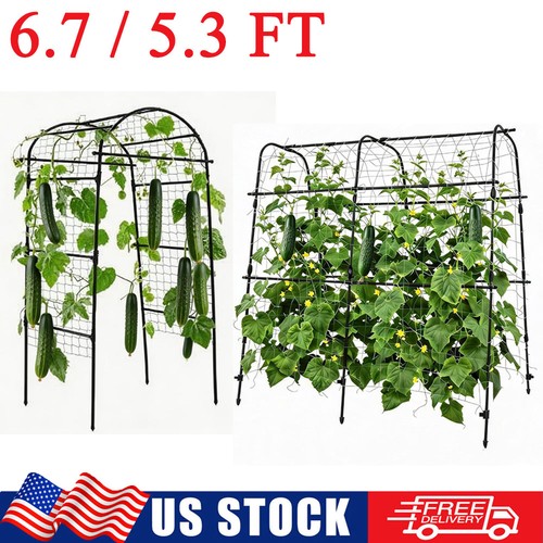 Ft garden arch trellis - ft,
