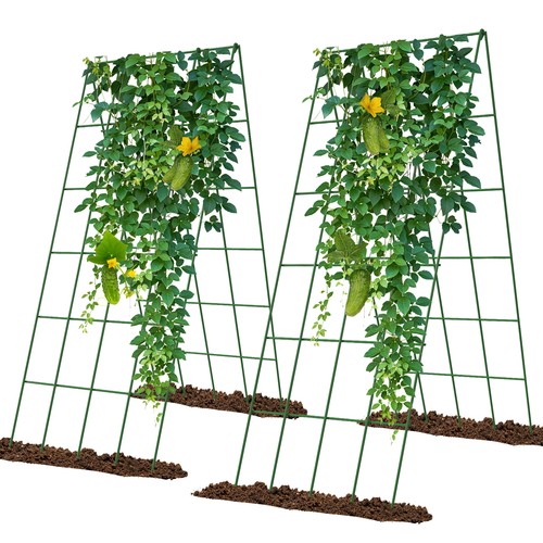 Foldable frame cucumber - a-frame,