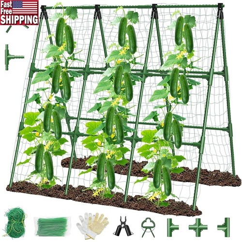 Ultra stable frame plant - ultra-stable,