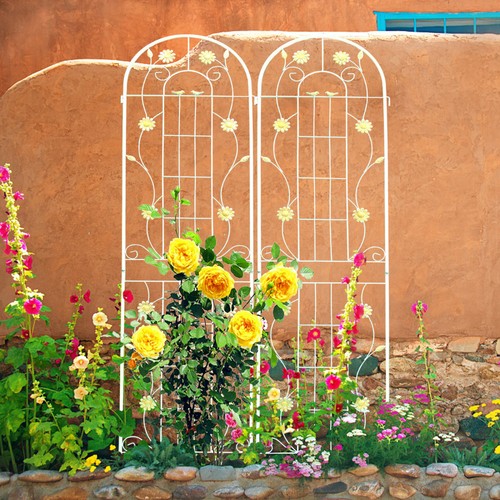 Powder coated plant trellis - coated,