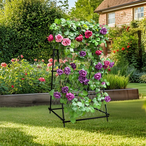 Garden trellis plant climbing - garden,